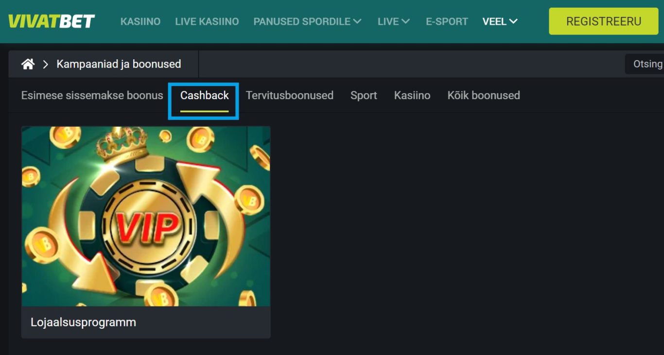 Vivatbet sooduskood - võimalused saada mängijatele
